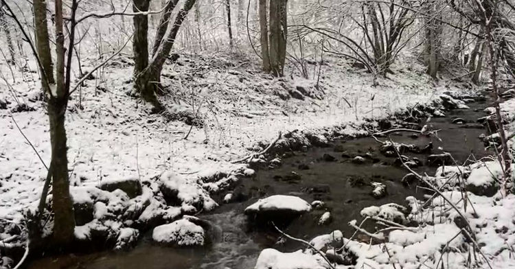 Take a walk in the snow with us!